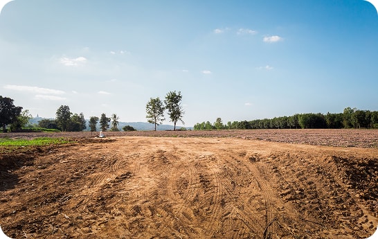 A surveyed plot of land ready for development