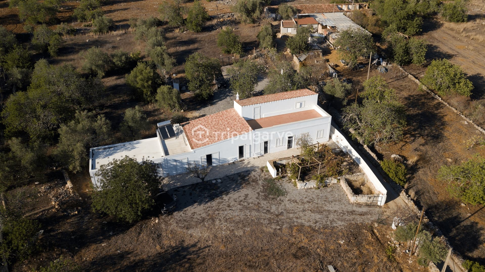 House T4